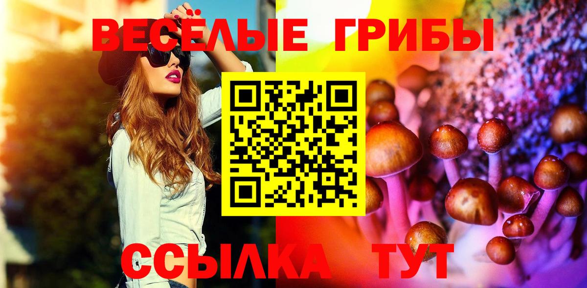 Псилоцибиновые грибы GOLDEN TEACHER Михайловка